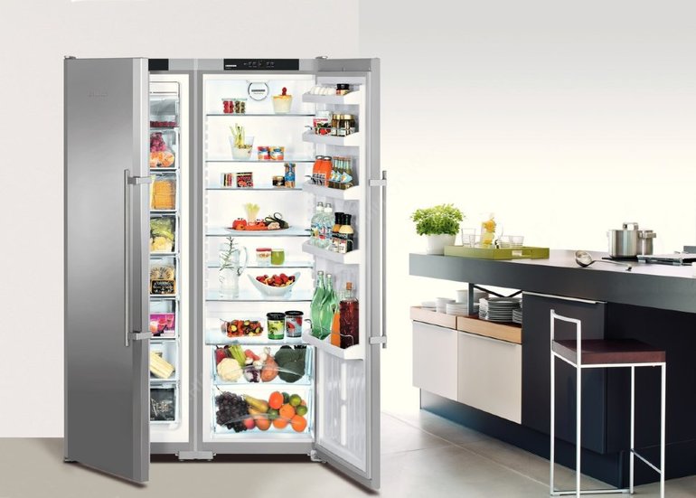 Hvilket køleskab med en stor fryser er bedst