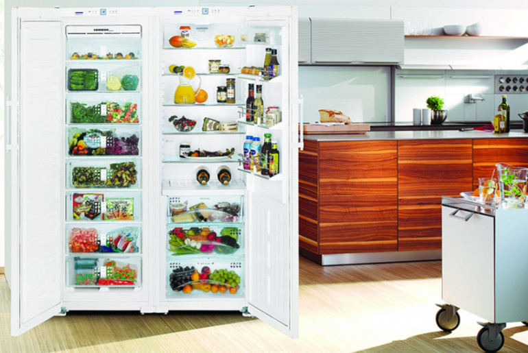 I migliori frigoriferi