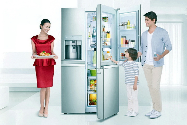 Auswahlkriterien für den Kühlschrank