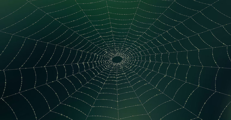 Cross spider web