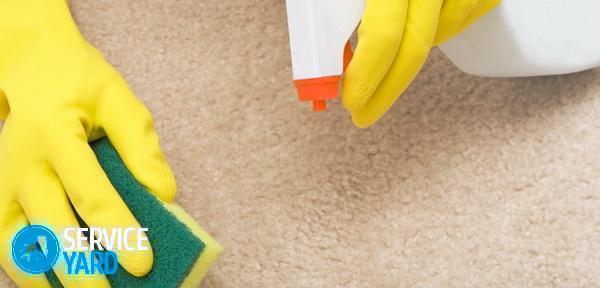 mancha de limpeza em um tapete com uma esponja