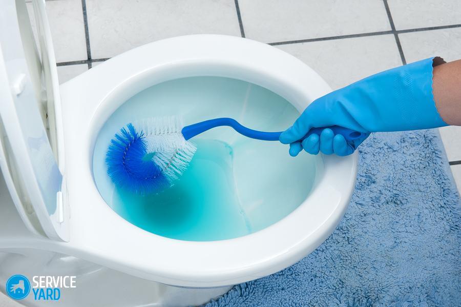 Bir kadın, tuvalet klozetini sert bir fırçayla temizler.